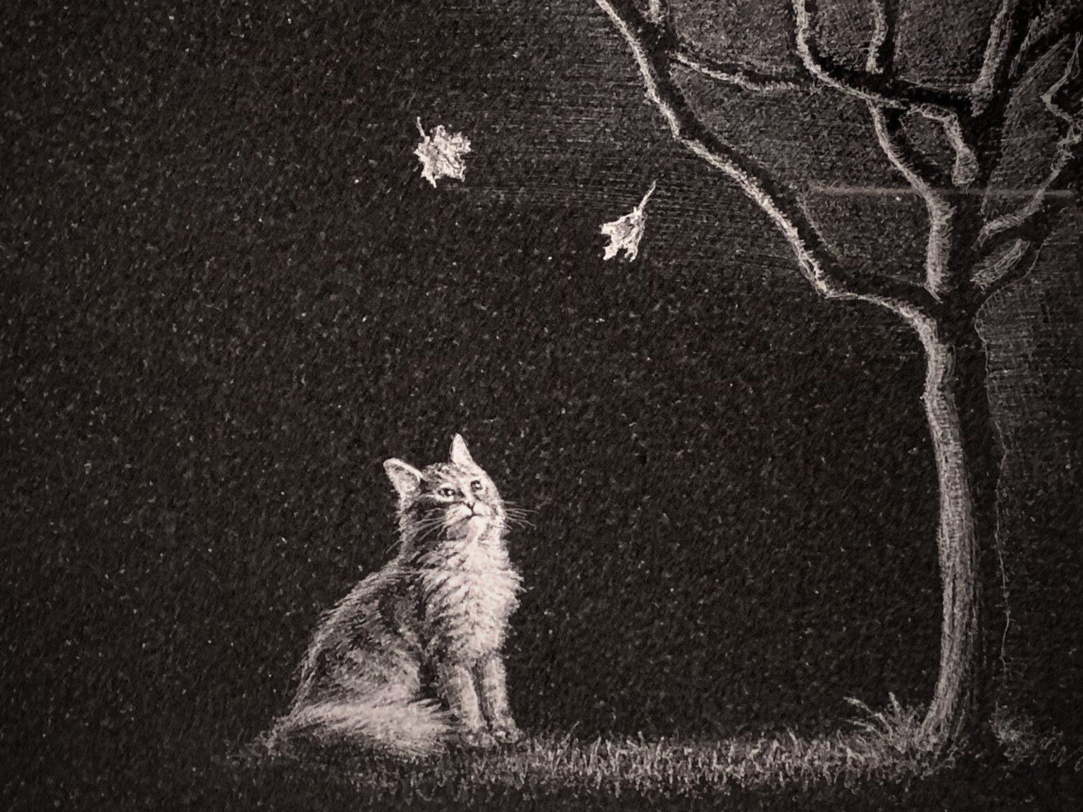 Hand-etched cat portrait on polished black granite