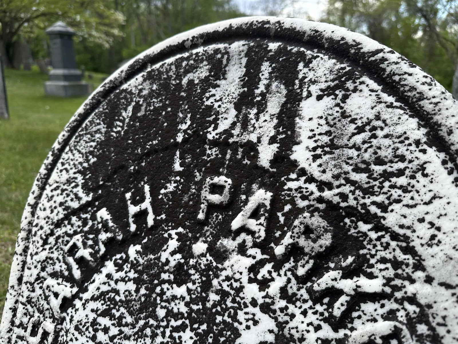 Dense dark biofilm and atmospheric staining on a weathered marble headstone, with the inscription partially obscured