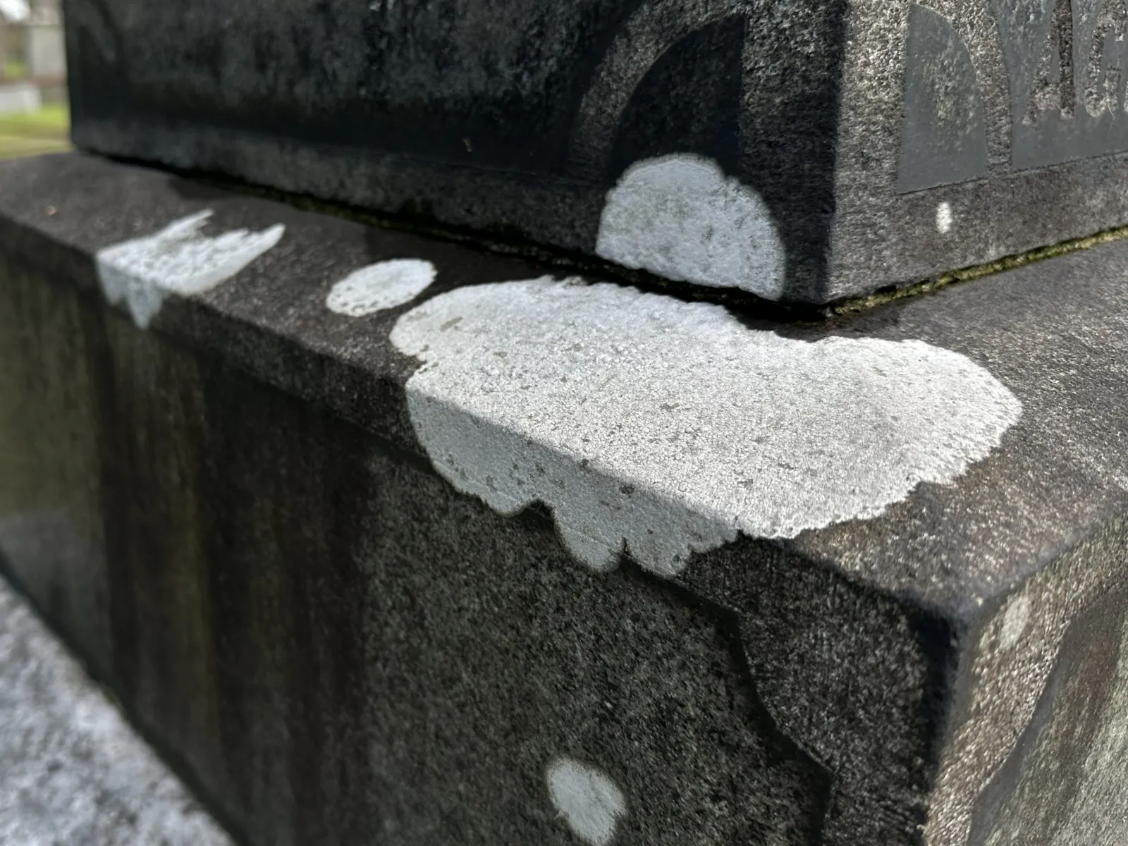 Pale, flat, crust-like crustose lichen growth bonded to the surface of a dark granite monument