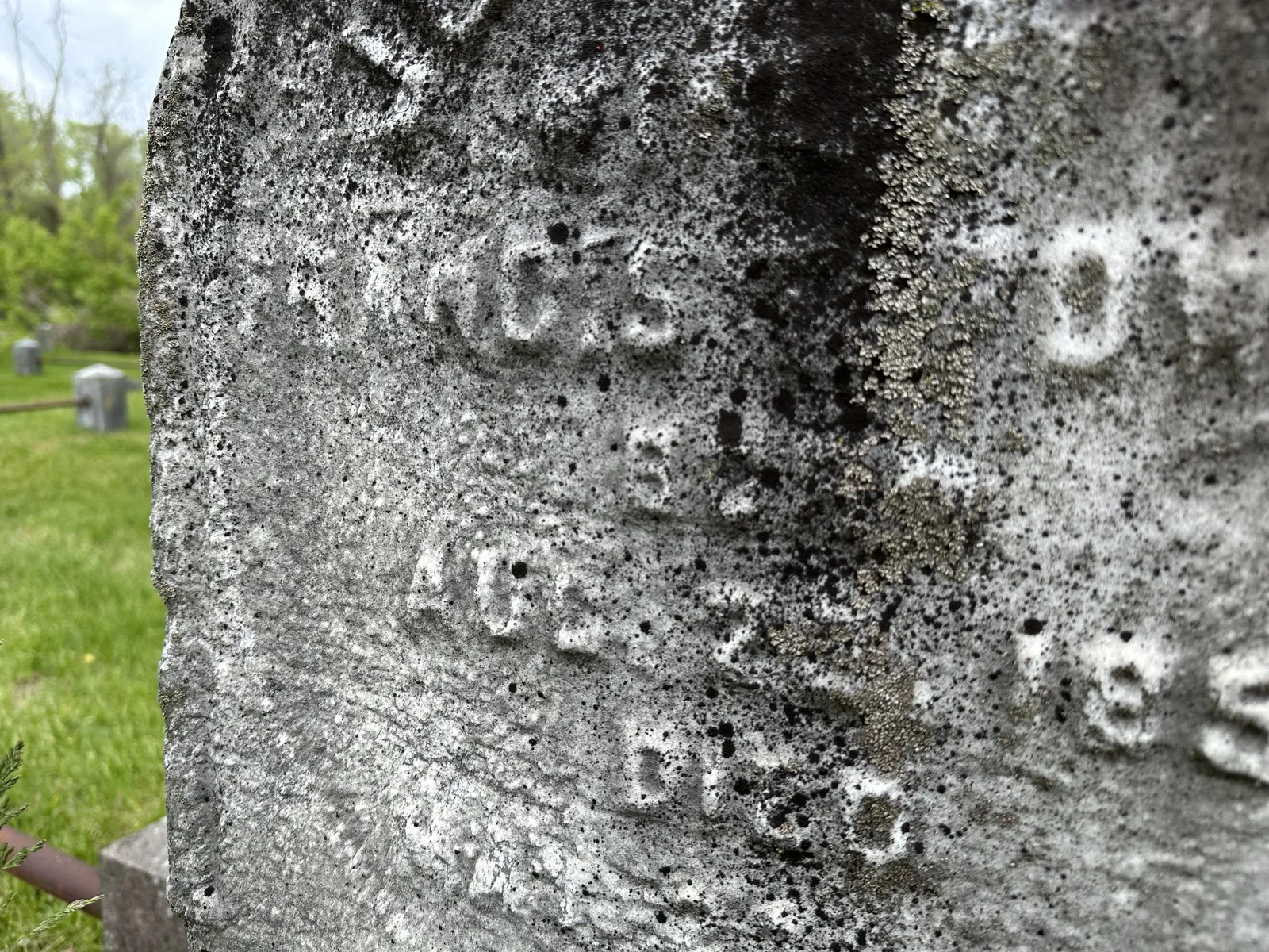 An older marble headstone with biological staining covering a surface that is also visibly weathered and eroding