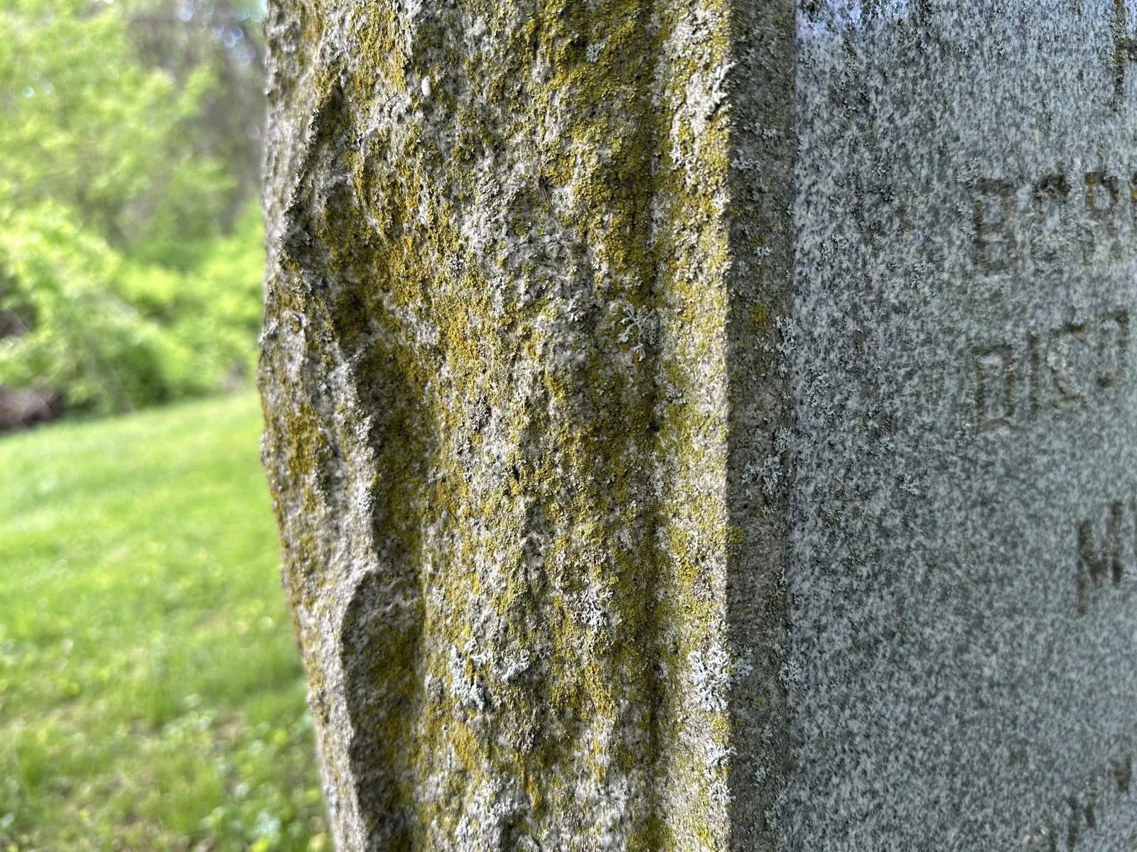 Yellow-green algal biofilm coating the rough-pitched edge of a granite headstone, with carved lettering visible on the smoother face