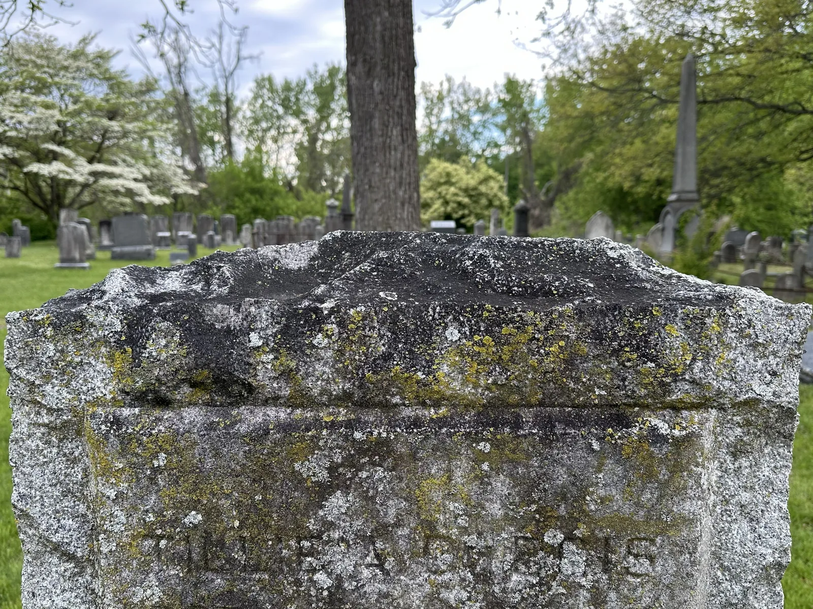 The top of a granite tablet covered with heavy moss and lichen growth, set in a Vermont cemetery