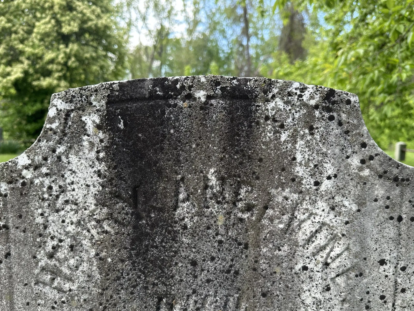 The top of an older marble headstone with dark biological staining and visibly weathered, sugaring surface