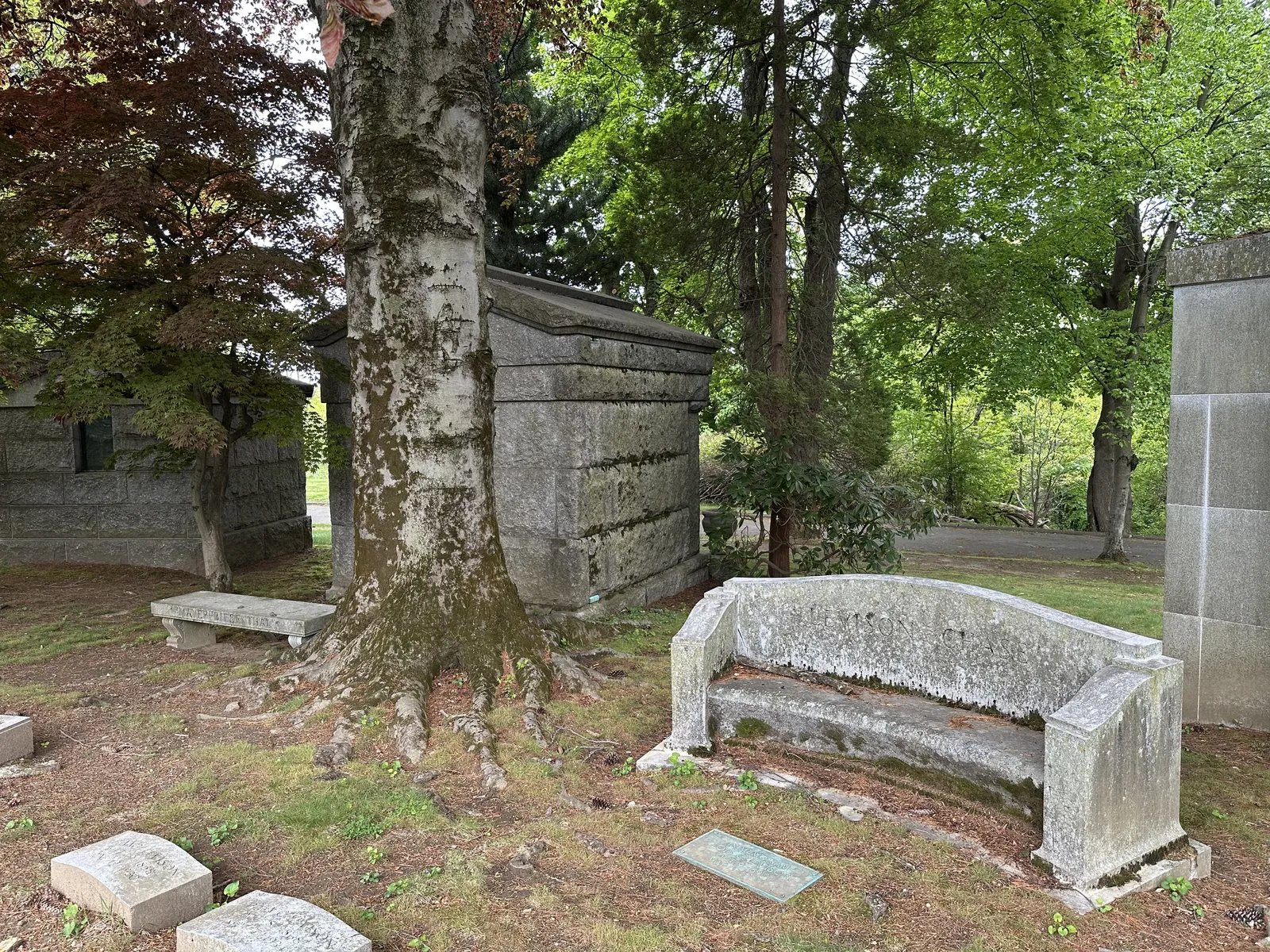 Granite mausoleums and a stone bench tucked under a large mature tree, showing biological staining from damp shaded conditions
